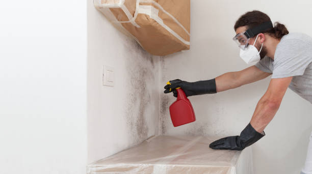 Professional Mold Remediation technician working in Hillsdale, MI